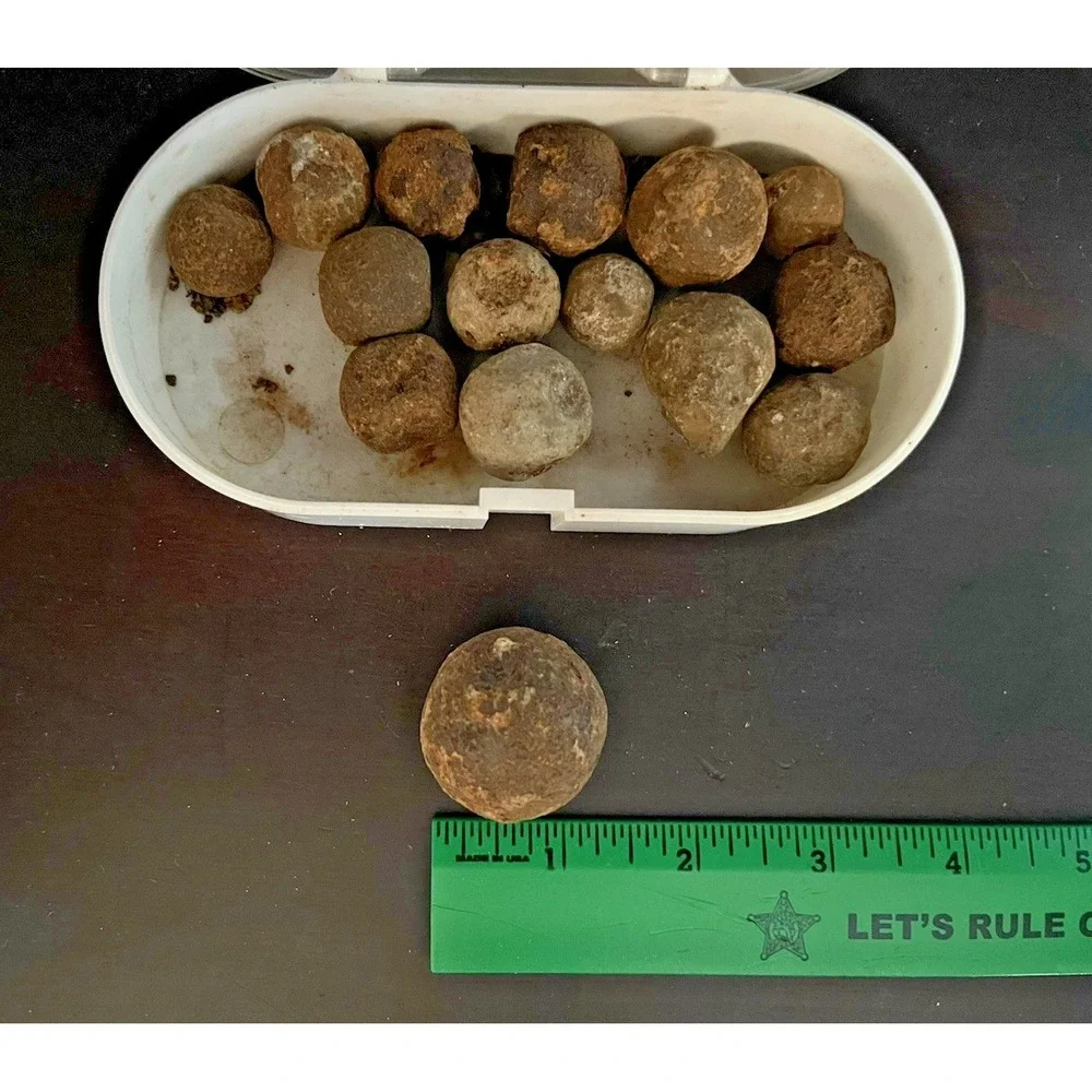Civil War Era Grape Shot Canister Lot of‎ 15~1.60 lbs-South Carolina Recovery